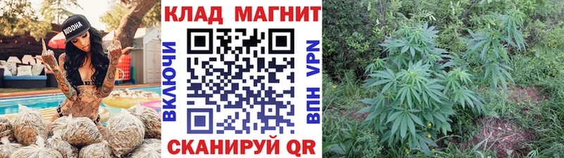 Какие есть наркотики Ядрин Амфетамин Alpha PVP МЕТАДОН Cocaine omg ТОР МЕФ