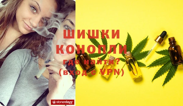 spice Балахна