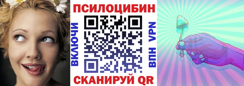 Псилоцибиновые грибы Cubensis  гидра ССЫЛКА  Ядрин  где купить наркоту 