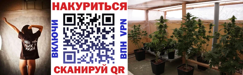 где найти   mega ссылки  Конопля ГИДРОПОН  Ядрин 